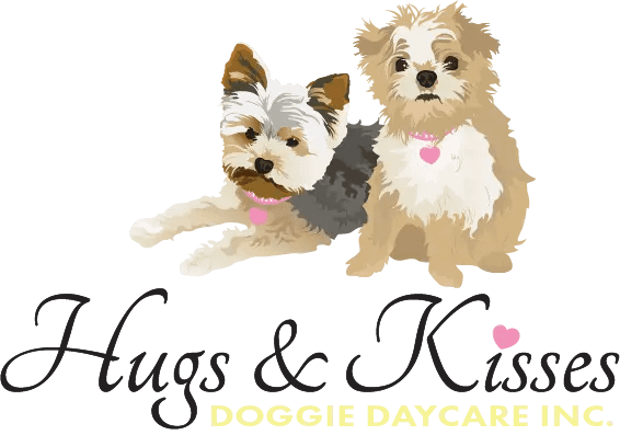 hugs and kisses dog daycare langley logo 2024-yellow